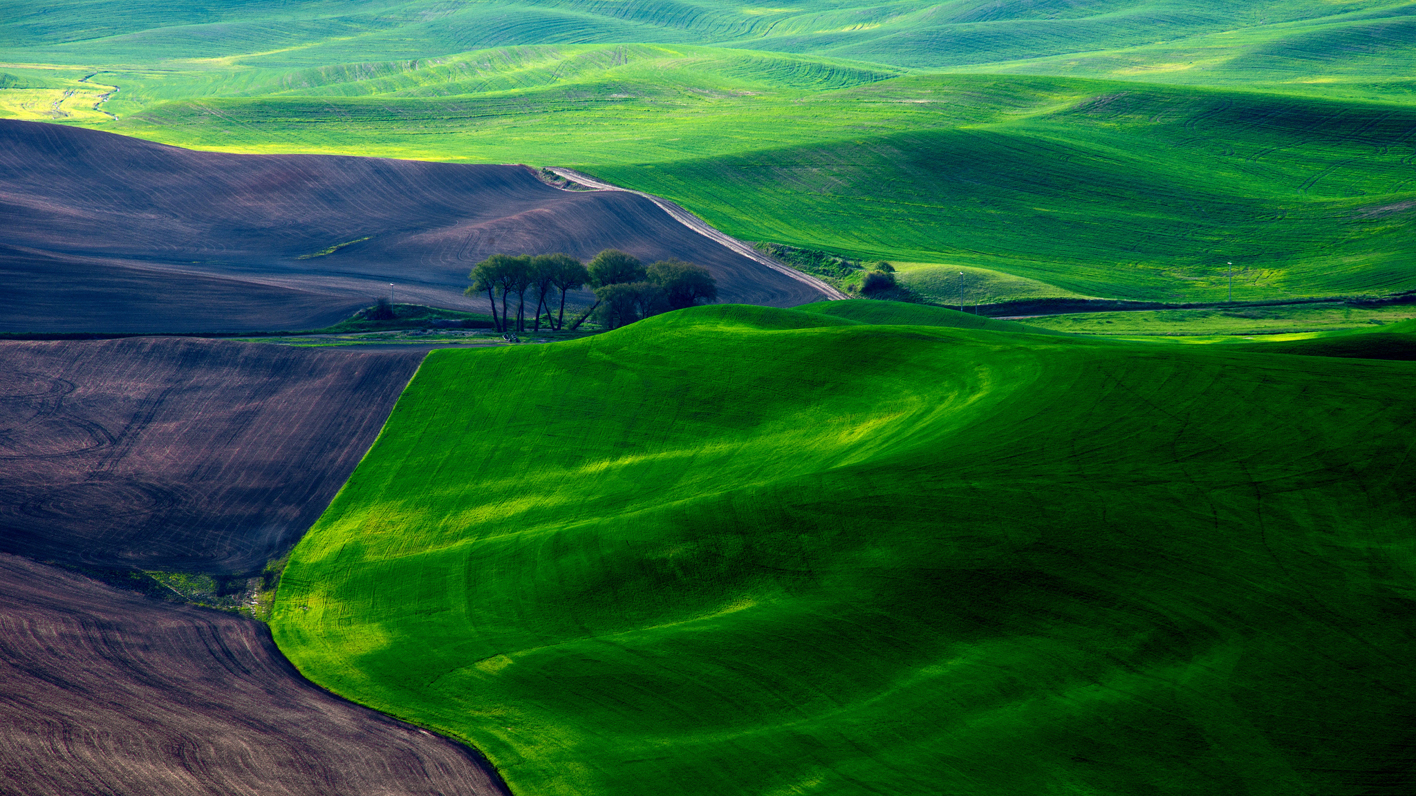 The Palouse.jpeg