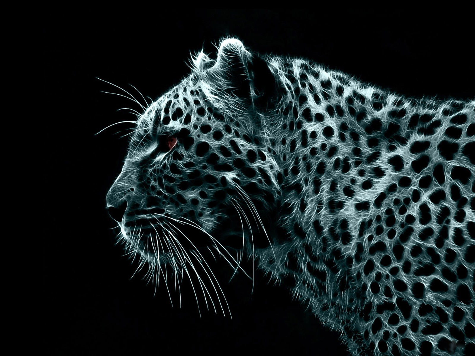 Leopard_-_background_windows_7.jpg