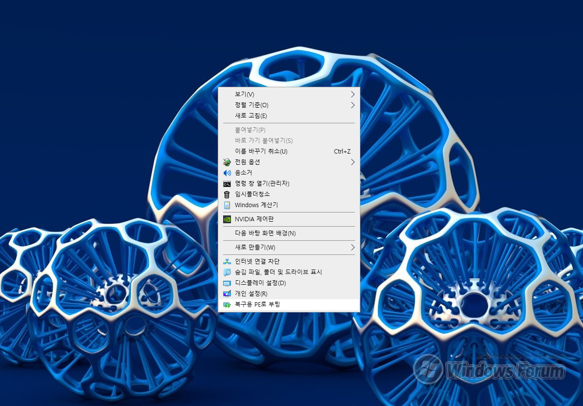 복구용 PE로 부팅하여 DISM-BR 사용하기_0003.jpg