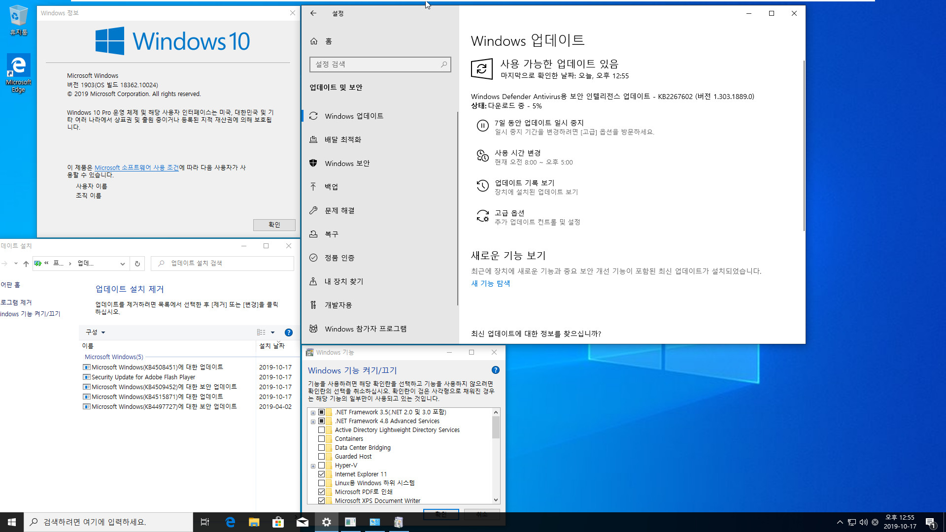 Windows 10 19H2 인사이더 프리뷰 [슬로우 링] KB4508451 누적 업데이트 (OS 빌드 18362.10024) [2019-10-16 일자] 나왔네요 - 프로 64비트 install.wim 통합중 입니다 2019-10-17_125542.jpg