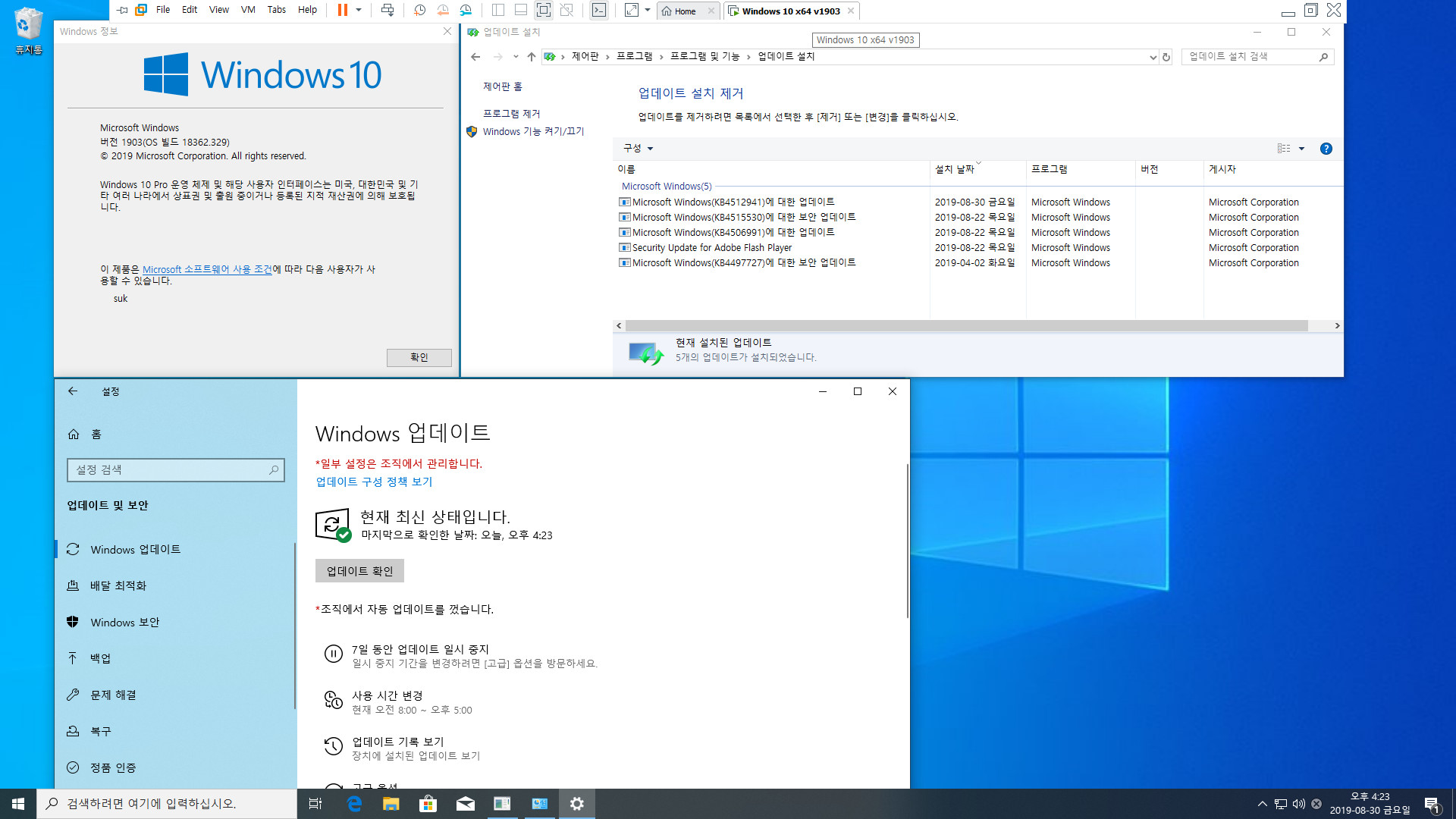 Windows 10 버전 1903 누적 업데이트 KB4512941 (OS 빌드 18362.329) [2019-08-29 일자] 릴리스 프리뷰 나왔네요 - vmware 에서 설치 테스트 2019-08-30_162306.jpg