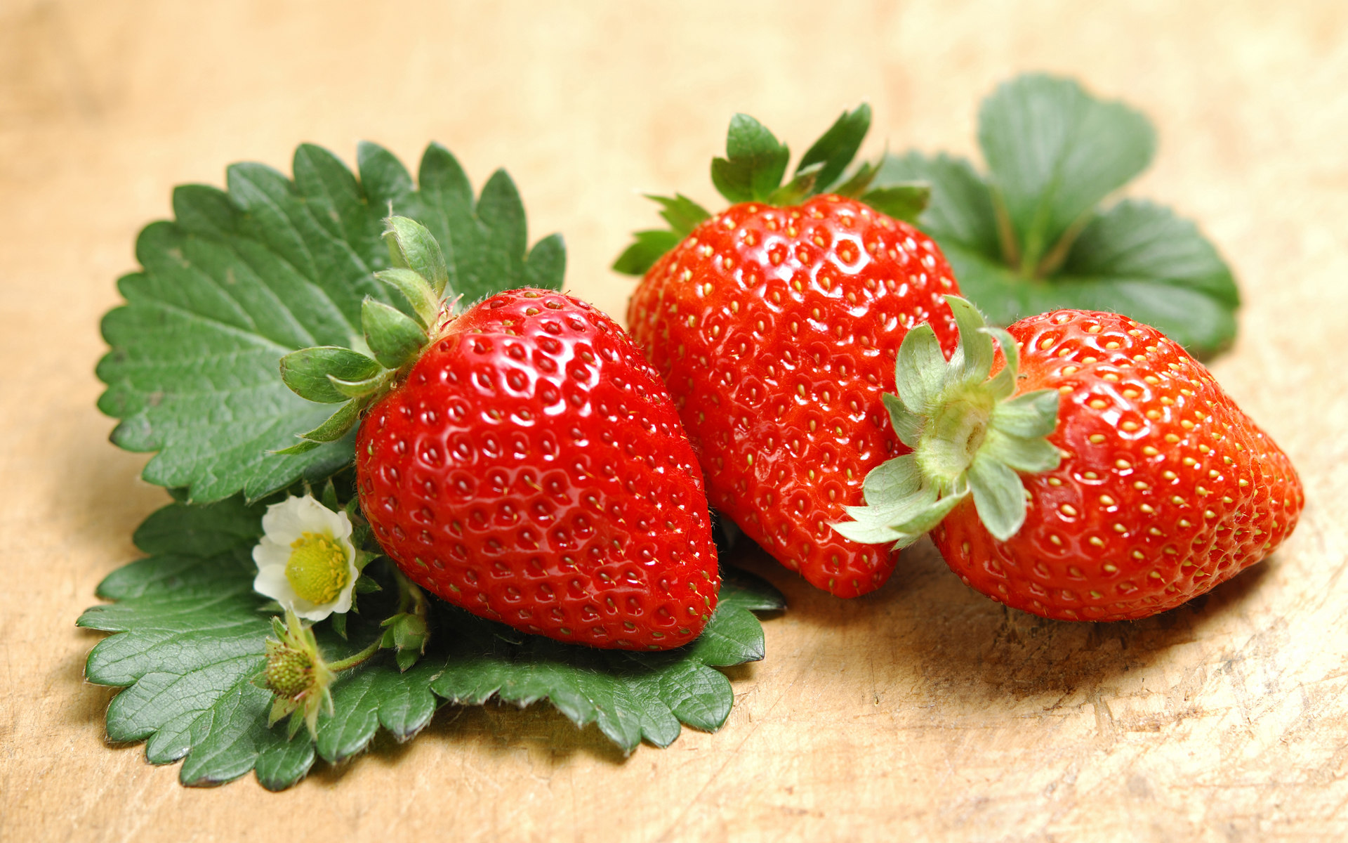 strawberry_1920.jpg