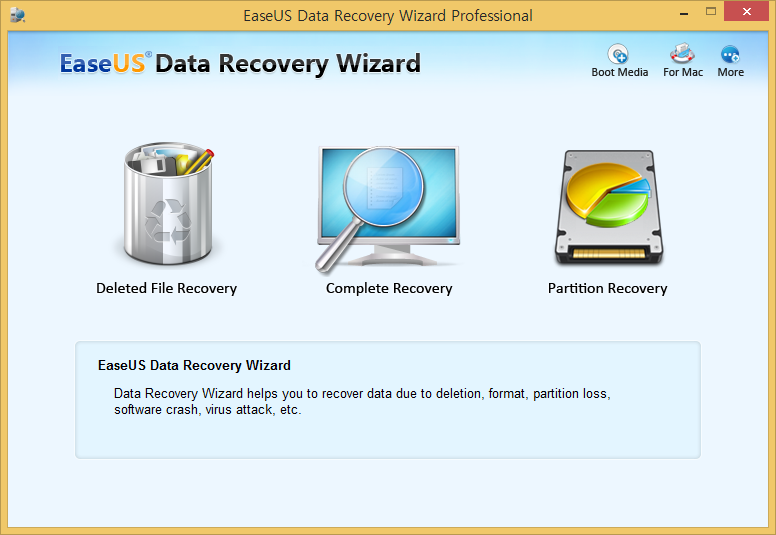 easeus data recovery wizard professional 12.9