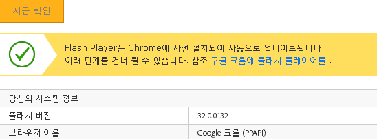 Google 크롬 (PPAPI).png