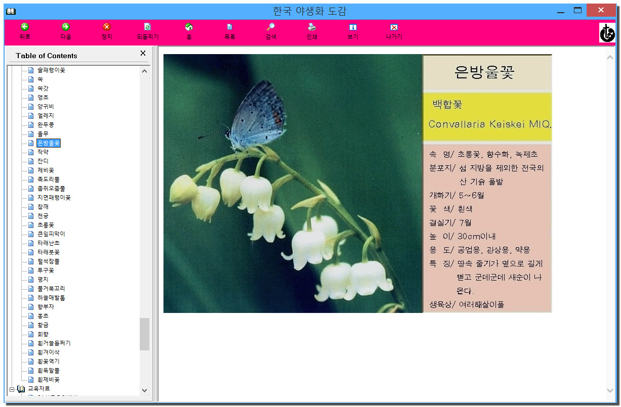 한국야생화도감.jpg