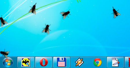 fly_on_desktop.jpg